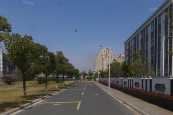 Ԫ�ͽֵ�3��������ѡ������ڶ��������Ļ��Ų�������¼