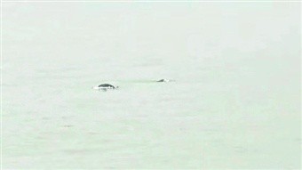 1712449290743503.jpg 2024-04-06-23_22_47+F-JJISUUUU31ee773ab7a25467125837b8c1fbdc3c99bf5b03e1c6338ac075fd006320be3c1f5b2d8180e75f7325d8005111bebb587059a5d74c3a4745fb6a034865ad8a857168f0a239a32d3904f5d34c80bbe6718323fcfcdeb4fb53b0.jpg