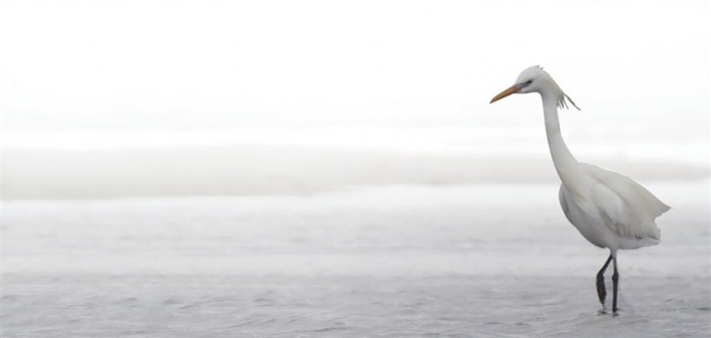 1716423449869629.jpg 2024-05-22-23_19_14+F-JJISUUUUef43fef65d378fed66e0d257bc29f3a3e9895c7ba90267394db90592fbbfe5bc585fcecd7b9658009134dae8e92eb4f3001a4bd7d45b4f0061fcce0bb6c547a039aebed5606e930ccf395890b49066a829ea8f5fce11d3c67d.jpg