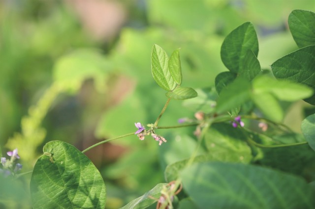 1716423436707528.jpg 2024-05-22-23_19_14+F-JJISUUUUef43fef65d378fed66e0d257bc29f3a3e9895c7ba90267394db90592fbbfe5bc585fcecd7b9658004c81477ff0b9721503e5b99dac468b3461fcce0bb6c547a039aebed5606e930ccf395890b49066a829ea8f5fce11d3c67d.jpg