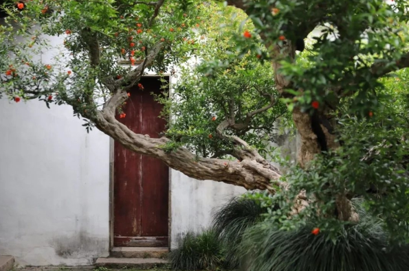 1718757451126040.png image.png