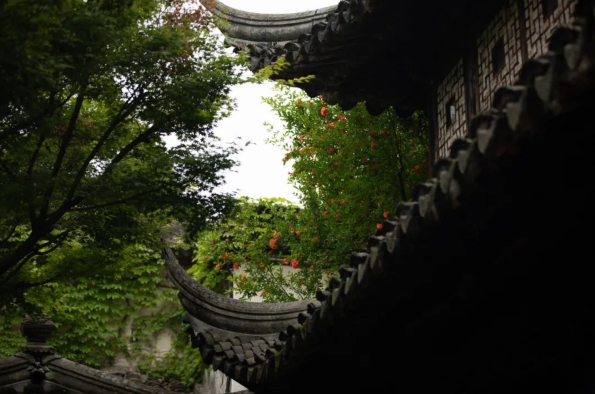 1718757532876772.png image.png