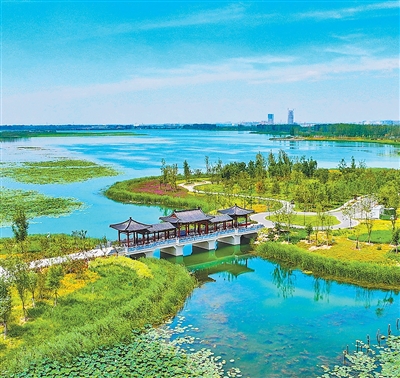 白洋淀燕南堤。耿 辉摄(人民视觉)